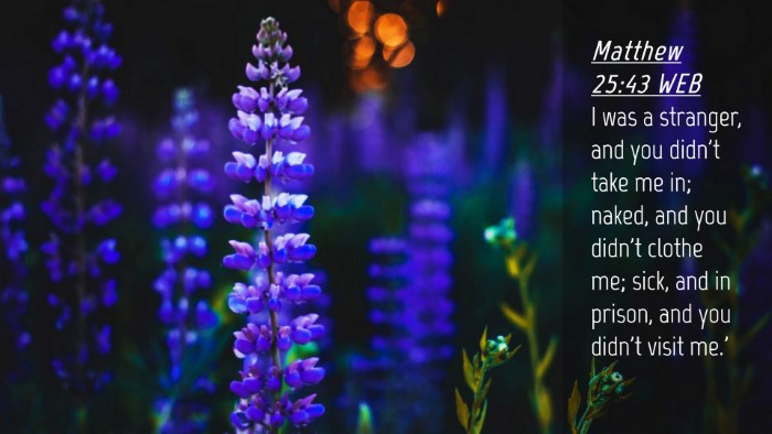 Picture 04 - Matthew 25:43 WEB Desktop Wallpaper - I was a stranger, and you didn't take me in; - Desktop Bible Verse Wallpaper