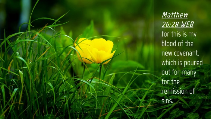Picture 04 - Matthew 26:28 WEB Desktop Wallpaper - for this is my blood of the new covenant, which - Desktop Bible Verse Wallpaper