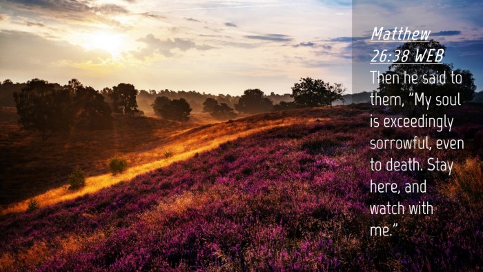 Picture 04 - Matthew 26:38 WEB Desktop Wallpaper - Then he said to them, 