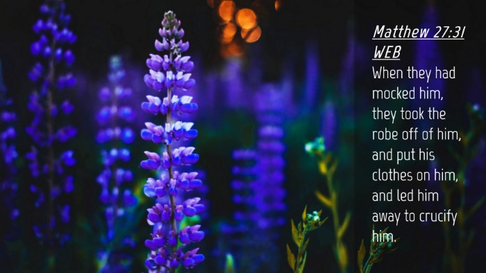 Picture 04 - Matthew 27:31 WEB Desktop Wallpaper - When they had mocked him, they took the robe off - Desktop Bible Verse Wallpaper