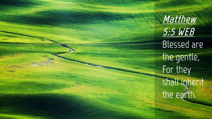 Picture 04 - Matthew 5:5 WEB Desktop Wallpaper - Blessed are the gentle, For they shall inherit - Desktop Bible Verse Wallpaper
