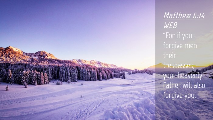 Picture 04 - Matthew 6:14 WEB Desktop Wallpaper - 