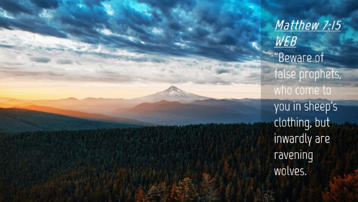 Picture 04 - Matthew 7:15 WEB Desktop Wallpaper - 