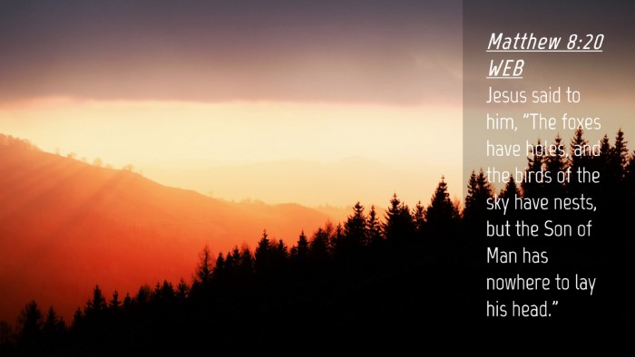 Picture 04 - Matthew 8:20 WEB Desktop Wallpaper - Jesus said to him, 