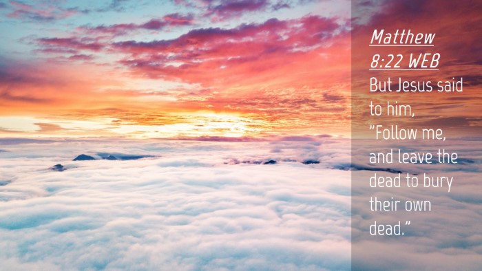 Picture 04 - Matthew 8:22 WEB Desktop Wallpaper - But Jesus said to him, 