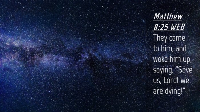 Picture 04 - Matthew 8:25 WEB Desktop Wallpaper - They came to him, and woke him up, saying, 
