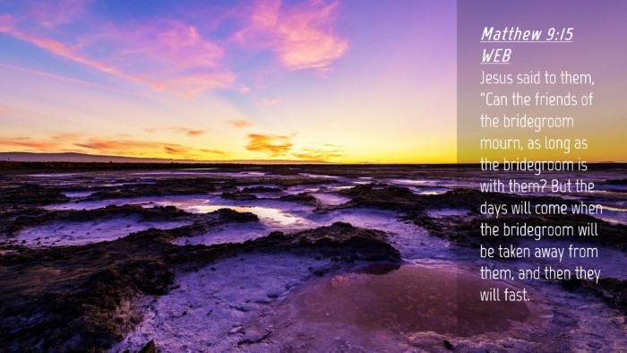 Picture 04 - Matthew 9:15 WEB Desktop Wallpaper - Jesus said to them, 