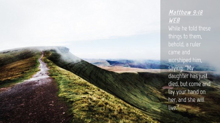Picture 04 - Matthew 9:18 WEB Desktop Wallpaper - While he told these things to them, behold, a - Desktop Bible Verse Wallpaper