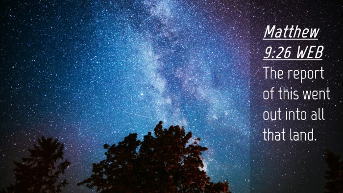 Picture 04 - Matthew 9:26 WEB Desktop Wallpaper - The report of this went out into all that - Desktop Bible Verse Wallpaper
