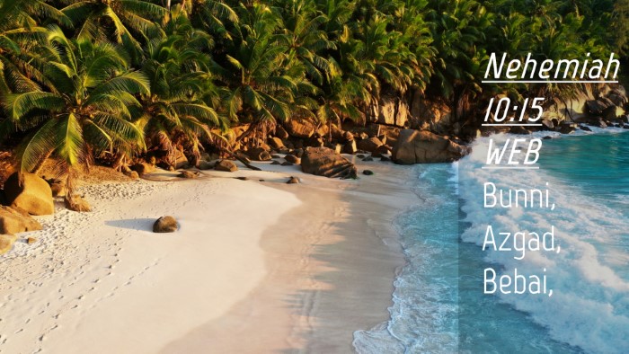 Picture 04 - Nehemiah 10:15 WEB Desktop Wallpaper - Bunni, Azgad, - Desktop Bible Verse Wallpaper