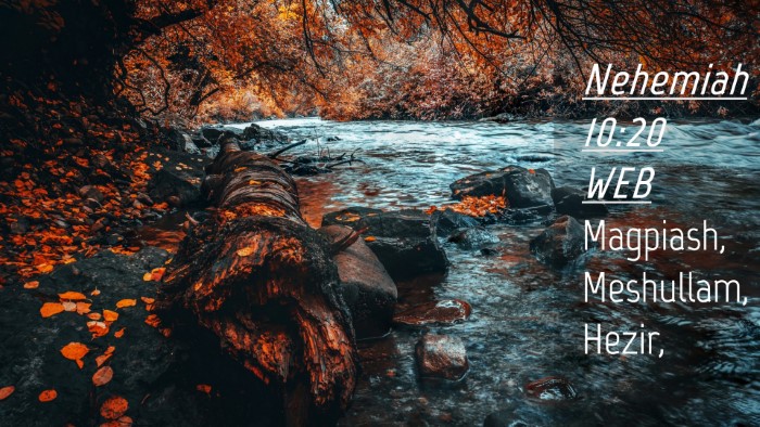 Picture 04 - Nehemiah 10:20 WEB Desktop Wallpaper - Magpiash, Meshullam, - Desktop Bible Verse Wallpaper