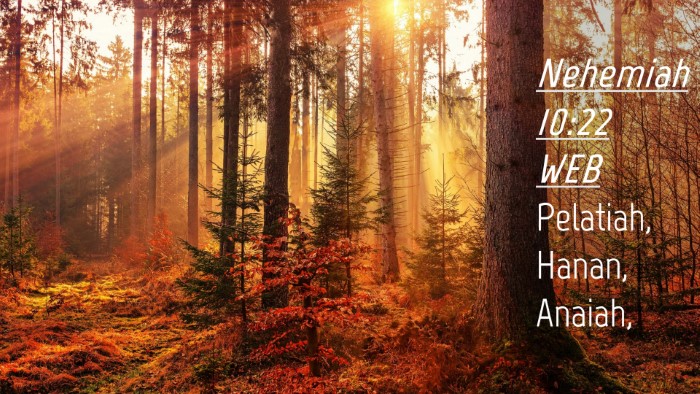 Picture 04 - Nehemiah 10:22 WEB Desktop Wallpaper - Pelatiah, Hanan, - Desktop Bible Verse Wallpaper