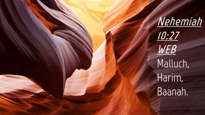 Picture 04 - Nehemiah 10:27 WEB Desktop Wallpaper - Malluch, Harim, - Desktop Bible Verse Wallpaper