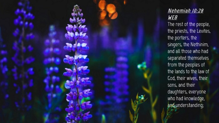 Picture 04 - Nehemiah 10:28 WEB Desktop Wallpaper - The rest of the people, the priests, the Levites, - Desktop Bible Verse Wallpaper