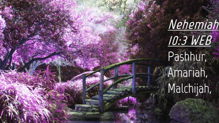 Picture 04 - Nehemiah 10:3 WEB Desktop Wallpaper - Pashhur, Amariah, - Desktop Bible Verse Wallpaper