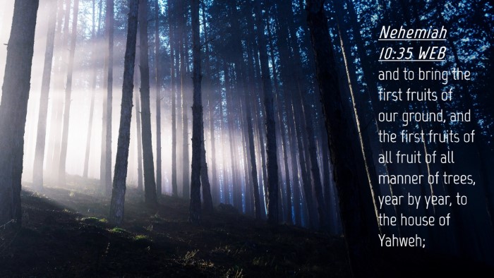 Picture 04 - Nehemiah 10:35 WEB Desktop Wallpaper - and to bring the first fruits of our ground, and - Desktop Bible Verse Wallpaper