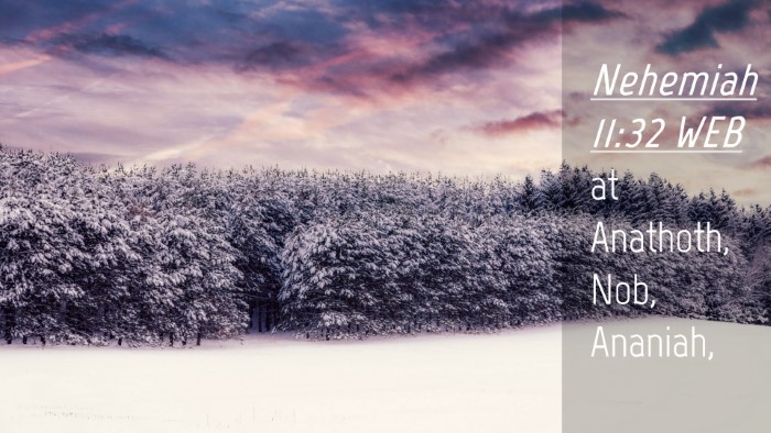Picture 04 - Nehemiah 11:32 WEB Desktop Wallpaper - at Anathoth, Nob, - Desktop Bible Verse Wallpaper