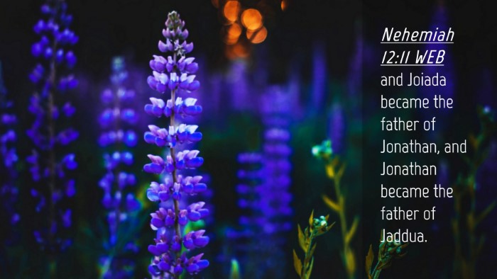 Picture 04 - Nehemiah 12:11 WEB Desktop Wallpaper - and Joiada became the father of Jonathan, and - Desktop Bible Verse Wallpaper