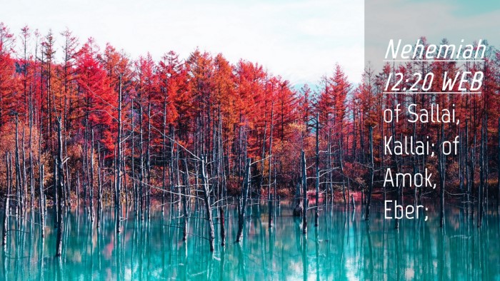Picture 04 - Nehemiah 12:20 WEB Desktop Wallpaper - of Sallai, Kallai; of Amok, - Desktop Bible Verse Wallpaper