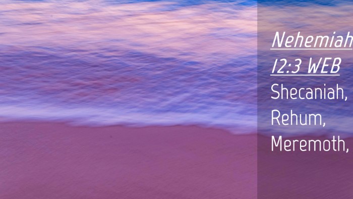 Picture 04 - Nehemiah 12:3 WEB Desktop Wallpaper - Shecaniah, Rehum, - Desktop Bible Verse Wallpaper