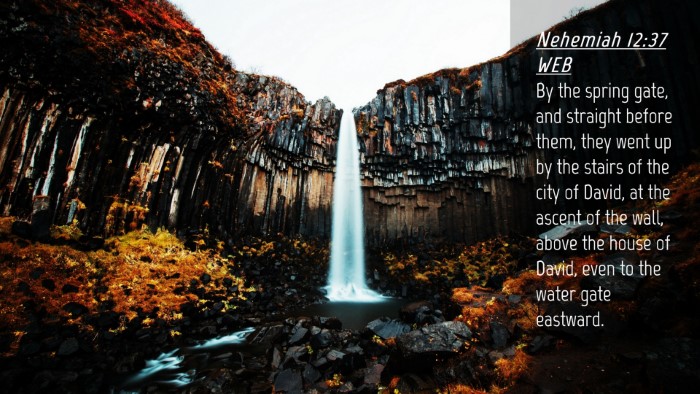 Picture 04 - Nehemiah 12:37 WEB Desktop Wallpaper - By the spring gate, and straight before them, - Desktop Bible Verse Wallpaper