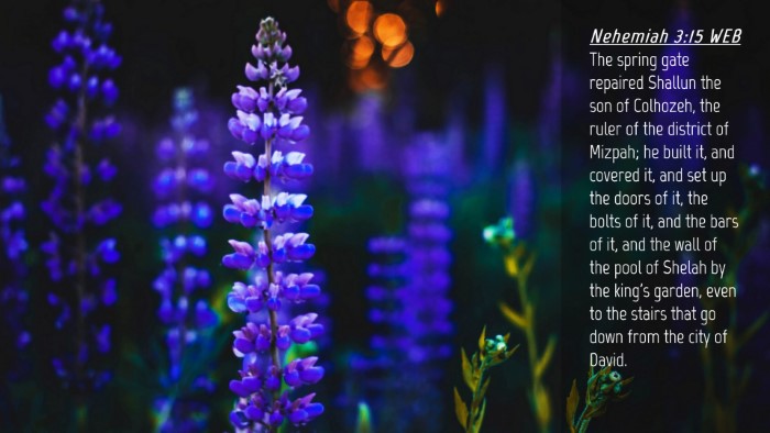 Picture 04 - Nehemiah 3:15 WEB Desktop Wallpaper - The spring gate repaired Shallun the son of - Desktop Bible Verse Wallpaper