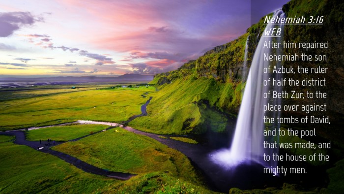 Picture 04 - Nehemiah 3:16 WEB Desktop Wallpaper - After him repaired Nehemiah the son of Azbuk, the - Desktop Bible Verse Wallpaper