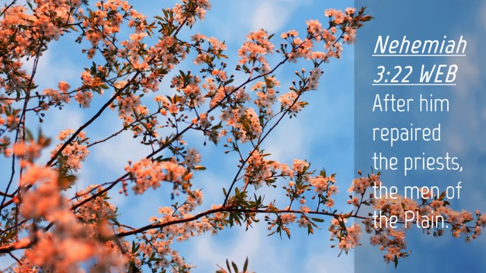 Picture 04 - Nehemiah 3:22 WEB Desktop Wallpaper - After him repaired the priests, the men of the - Desktop Bible Verse Wallpaper