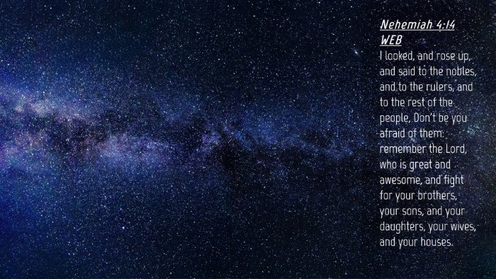 Picture 04 - Nehemiah 4:14 WEB Desktop Wallpaper - I looked, and rose up, and said to the nobles, - Desktop Bible Verse Wallpaper
