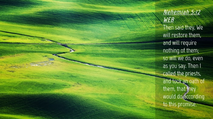 Picture 04 - Nehemiah 5:12 WEB Desktop Wallpaper - Then said they, We will restore them, and will - Desktop Bible Verse Wallpaper