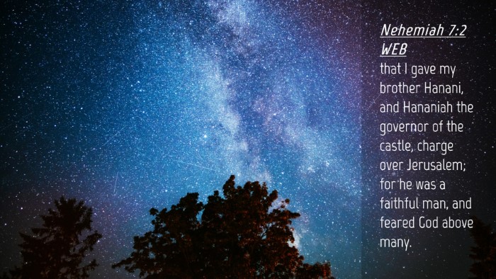 Picture 04 - Nehemiah 7:2 WEB Desktop Wallpaper - that I gave my brother Hanani, and Hananiah the - Desktop Bible Verse Wallpaper
