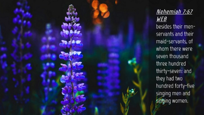 Picture 04 - Nehemiah 7:67 WEB Desktop Wallpaper - besides their men-servants and their - Desktop Bible Verse Wallpaper