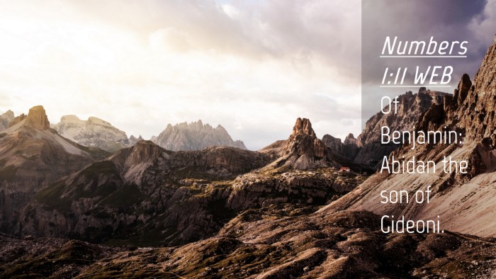 Picture 04 - Numbers 1:11 WEB Desktop Wallpaper - Of Benjamin: Abidan the son of - Desktop Bible Verse Wallpaper