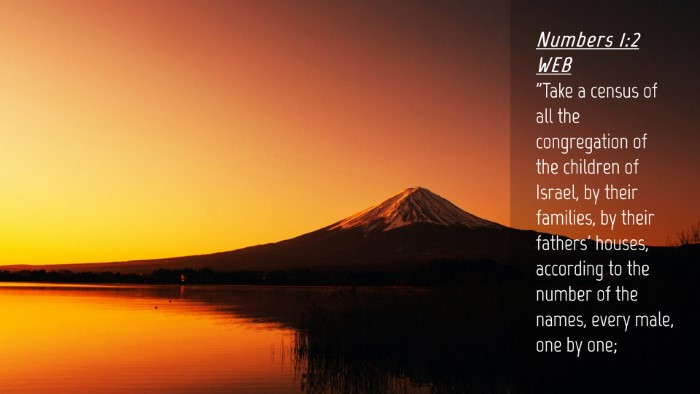 Picture 04 - Numbers 1:2 WEB Desktop Wallpaper - 
