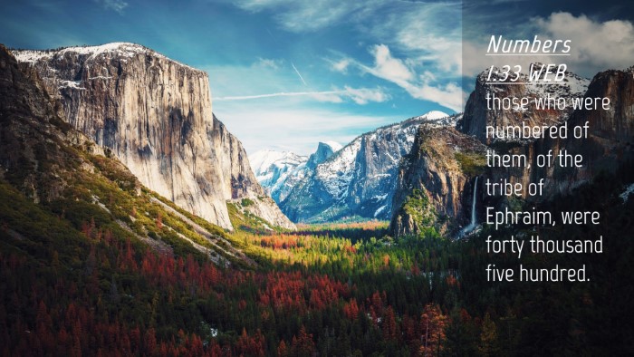 Picture 04 - Numbers 1:33 WEB Desktop Wallpaper - those who were numbered of them, of the tribe of - Desktop Bible Verse Wallpaper