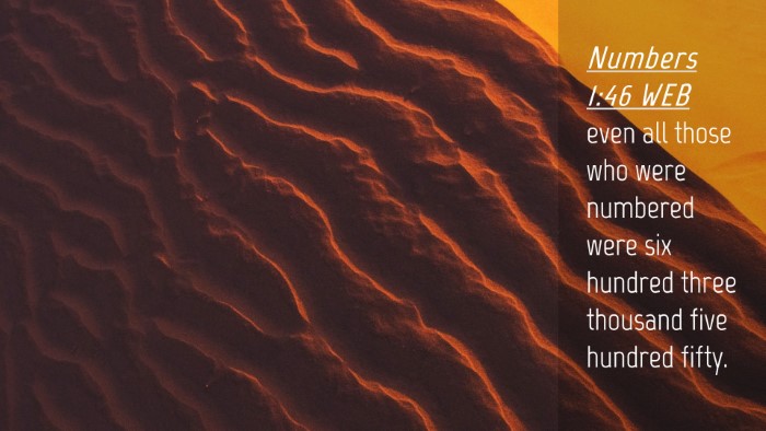 Picture 04 - Numbers 1:46 WEB Desktop Wallpaper - even all those who were numbered were six hundred - Desktop Bible Verse Wallpaper