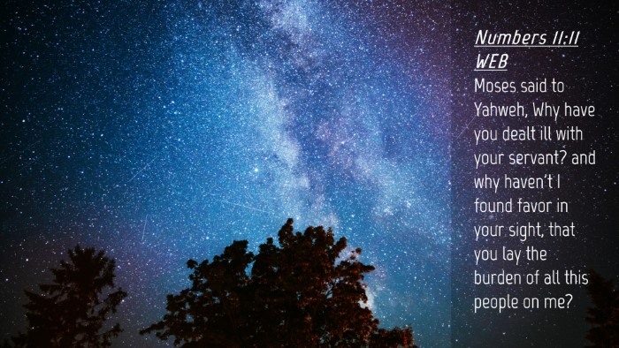 Picture 04 - Numbers 11:11 WEB Desktop Wallpaper - Moses said to Yahweh, Why have you dealt ill with - Desktop Bible Verse Wallpaper
