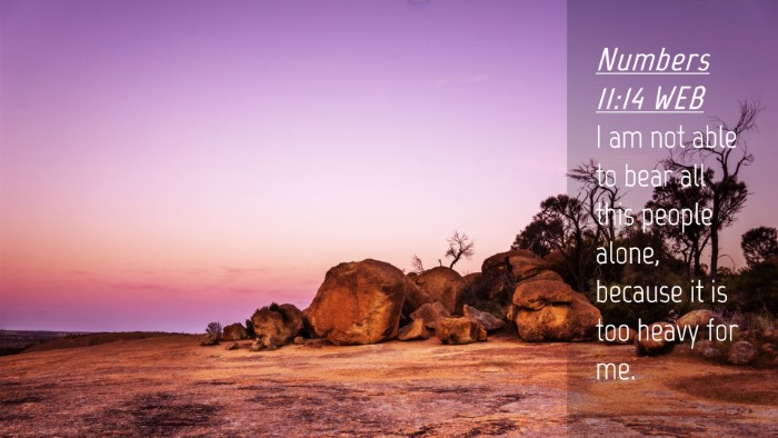 Picture 04 - Numbers 11:14 WEB Desktop Wallpaper - I am not able to bear all this people alone, - Desktop Bible Verse Wallpaper