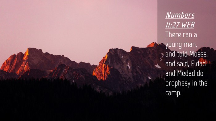 Picture 04 - Numbers 11:27 WEB Desktop Wallpaper - There ran a young man, and told Moses, and said, - Desktop Bible Verse Wallpaper