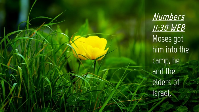 Picture 04 - Numbers 11:30 WEB Desktop Wallpaper - Moses got him into the camp, he and the elders of - Desktop Bible Verse Wallpaper