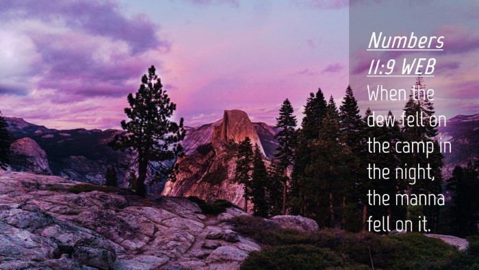 Picture 04 - Numbers 11:9 WEB Desktop Wallpaper - When the dew fell on the camp in the night, the - Desktop Bible Verse Wallpaper