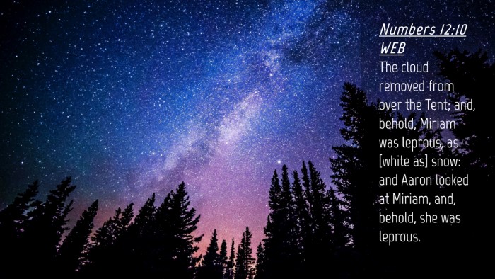 Picture 04 - Numbers 12:10 WEB Desktop Wallpaper - The cloud removed from over the Tent; and, - Desktop Bible Verse Wallpaper