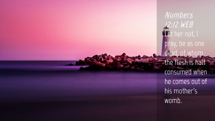 Picture 04 - Numbers 12:12 WEB Desktop Wallpaper - Let her not, I pray, be as one dead, of whom the - Desktop Bible Verse Wallpaper