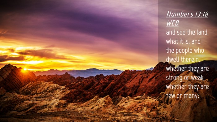 Picture 04 - Numbers 13:18 WEB Desktop Wallpaper - and see the land, what it is; and the people who - Desktop Bible Verse Wallpaper