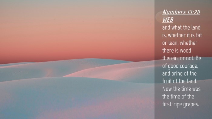 Picture 04 - Numbers 13:20 WEB Desktop Wallpaper - and what the land is, whether it is fat or lean, - Desktop Bible Verse Wallpaper