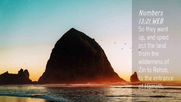 Picture 04 - Numbers 13:21 WEB Desktop Wallpaper - So they went up, and spied out the land from the - Desktop Bible Verse Wallpaper