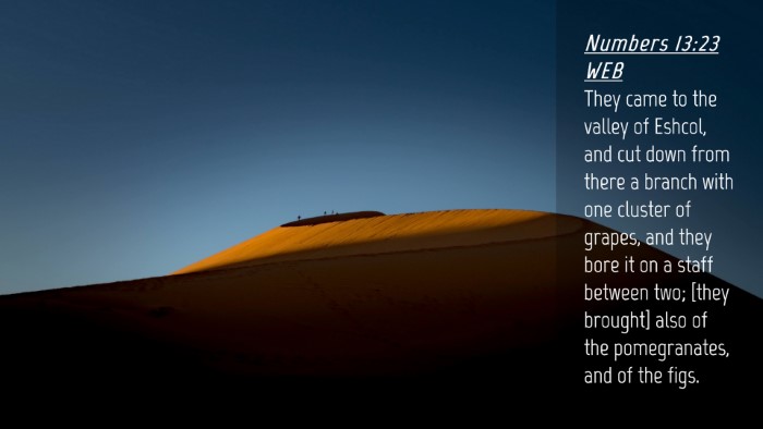 Picture 04 - Numbers 13:23 WEB Desktop Wallpaper - They came to the valley of Eshcol, and cut down - Desktop Bible Verse Wallpaper