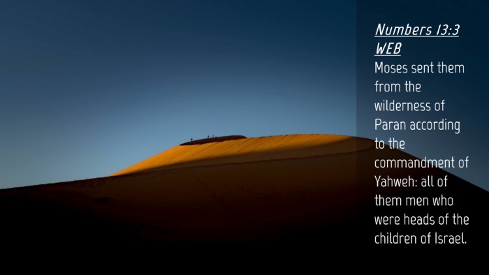 Picture 04 - Numbers 13:3 WEB Desktop Wallpaper - Moses sent them from the wilderness of Paran - Desktop Bible Verse Wallpaper