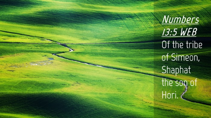 Picture 04 - Numbers 13:5 WEB Desktop Wallpaper - Of the tribe of Simeon, Shaphat the son of - Desktop Bible Verse Wallpaper