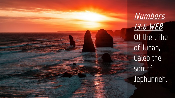 Picture 04 - Numbers 13:6 WEB Desktop Wallpaper - Of the tribe of Judah, Caleb the son of - Desktop Bible Verse Wallpaper